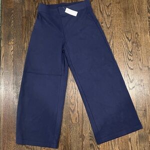 LOFT Navy Blue Wide-Leg Pants New With Tag